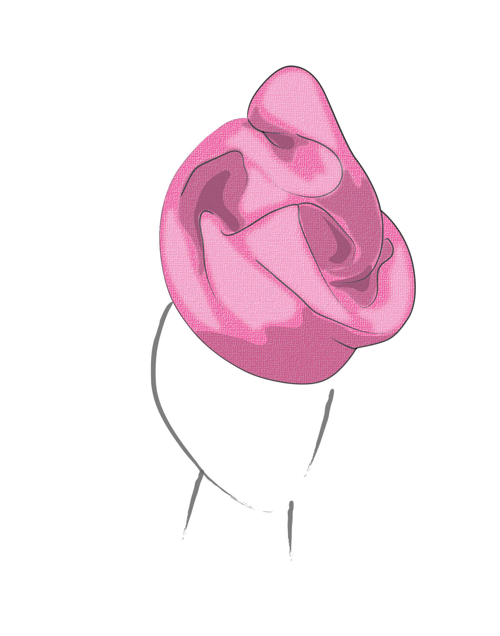 pink derby hat design